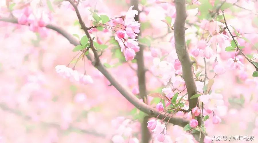 中国文化常识语文学霸必备,考文史常识