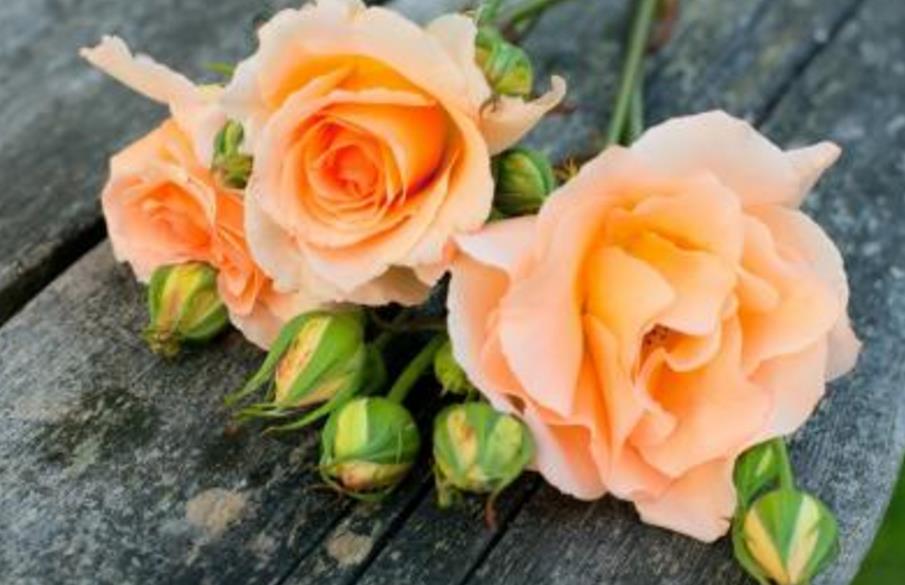 让生活过得活色生香,让你的生活香起来