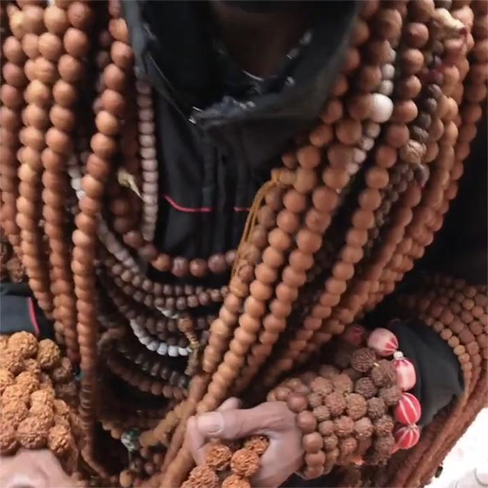 尼泊尔和中国的凤眼菩提,凤眼菩提三冬两夏