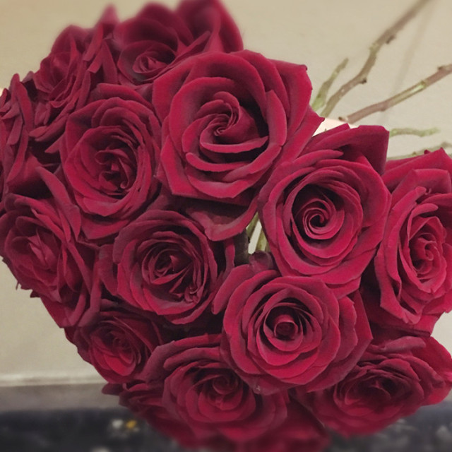 自己种的玫瑰花怎么没有花店的好,如何养花店买的玫瑰花