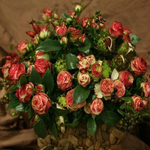 如何养花店买的玫瑰花,如何能养出和花店一样的玫瑰花