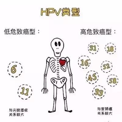 2017年香港九价hpv疫苗多少钱,香港9价hpv疫苗效果怎么样