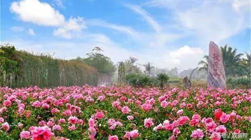 抓住机遇发家致富的方法,抓住富人的十条致富法则