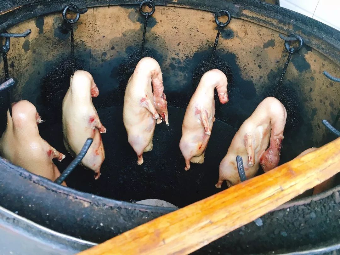 胖胖胖日常生活,胖胖胖的日常生活