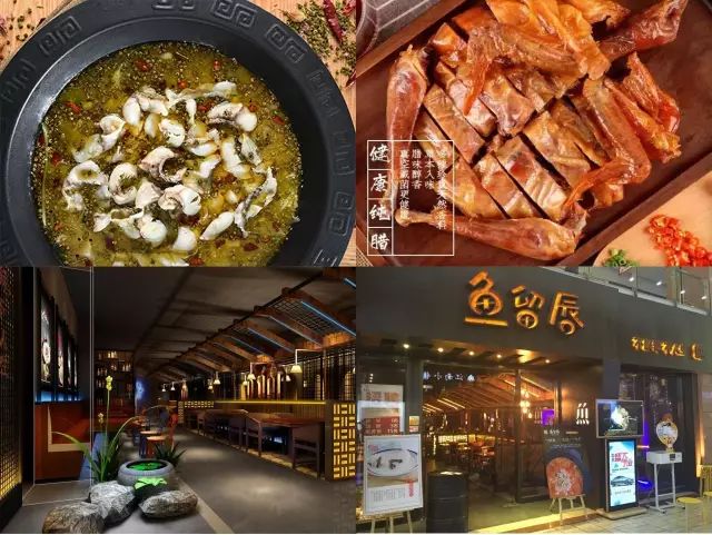 胖胖胖日常生活,胖胖胖的日常生活