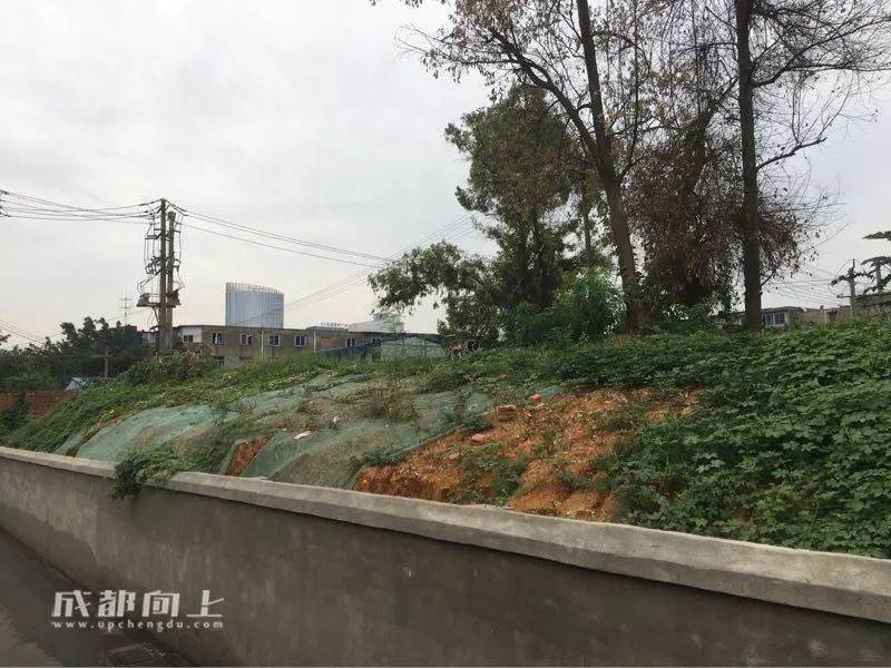 锦江区的核心地段，没想到现在是这样