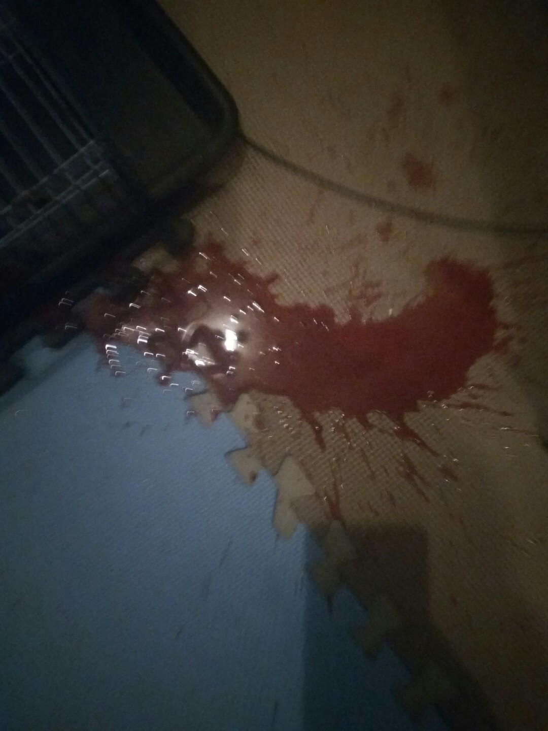 犬细小病毒治疗简单方法,犬细小病毒治疗后期康复