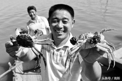 9.9两只阳澄湖大闸蟹你吃过么,正宗的阳澄湖大闸蟹精品