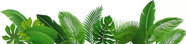 你的笔画笔顺,笔画笔顺正确的写法口诀