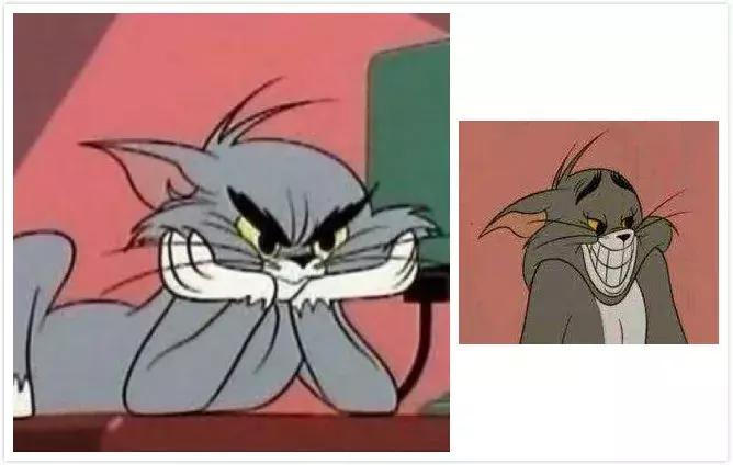 感觉自己养了一只猫是假猫 (你会觉得自己养了一只假猫吗)