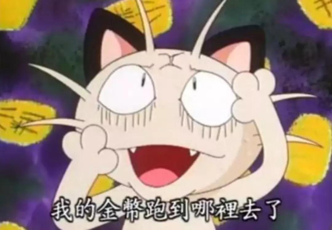 感觉自己养了一只猫是假猫 (你会觉得自己养了一只假猫吗)