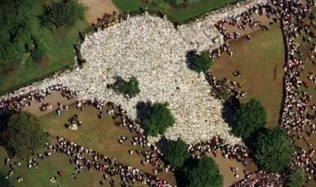 相信我，这一定是朋友圈里最珍贵的照片！