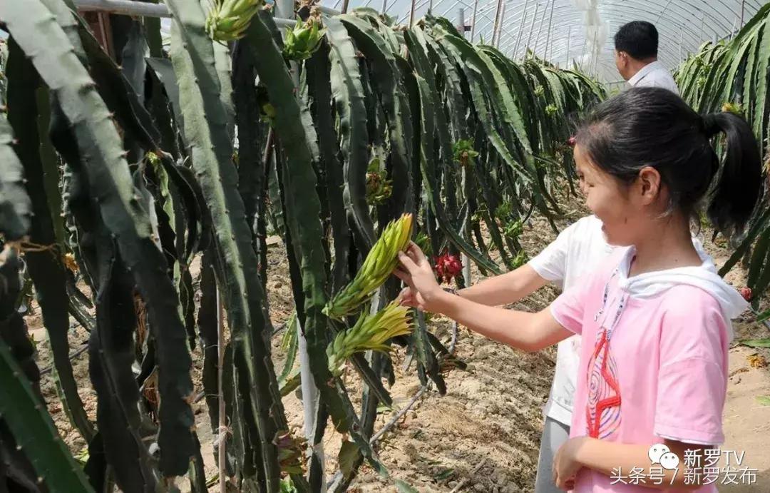 因开采煤矿而被淹没的村庄,因为开采矿洞塌陷的村庄