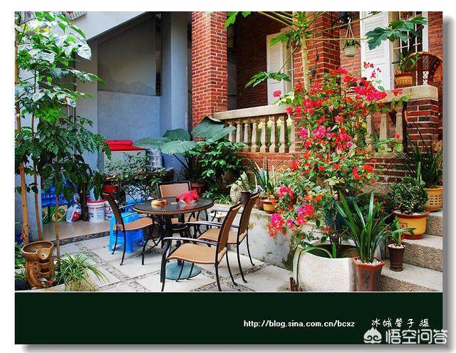 喜欢鼓浪屿的民宿，有这样几家咖啡旅馆很可爱