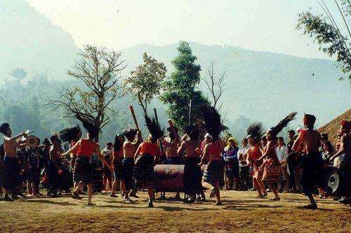 云南开满山茶花的地方是哪里,云南开满山茶花的老房子