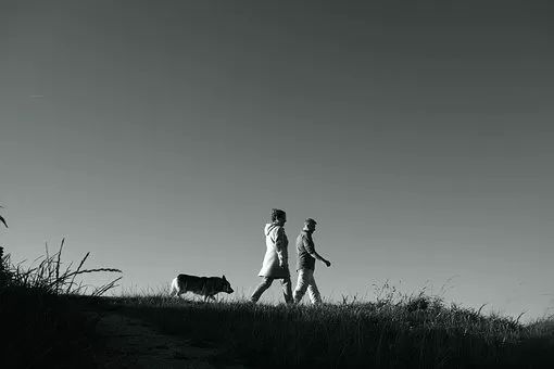 滑膜炎抽液后多久可以运动,运动导致滑膜炎一般多久好