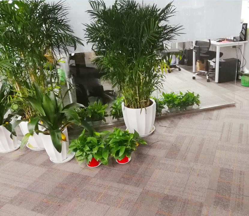 上元教育最新信息,上元教育学历提升无锡