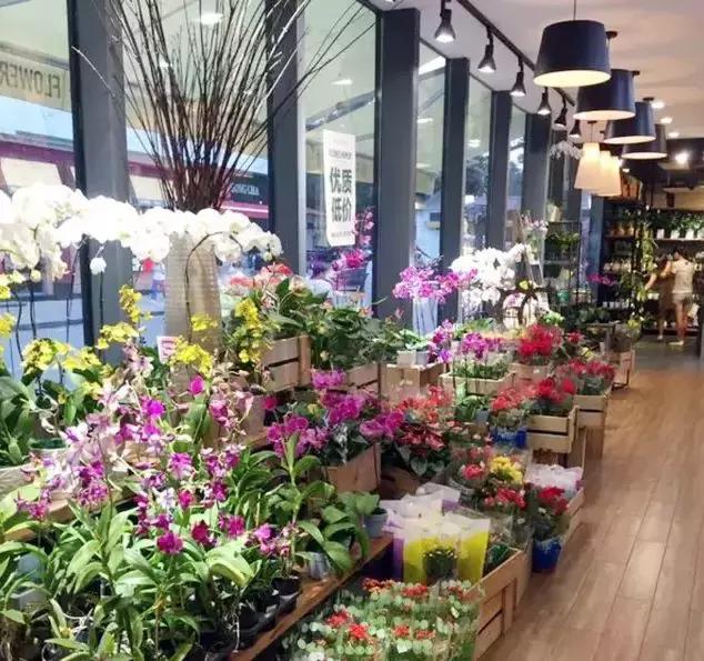 厦门奇怪的花店,厦门比较有名的绿植花店