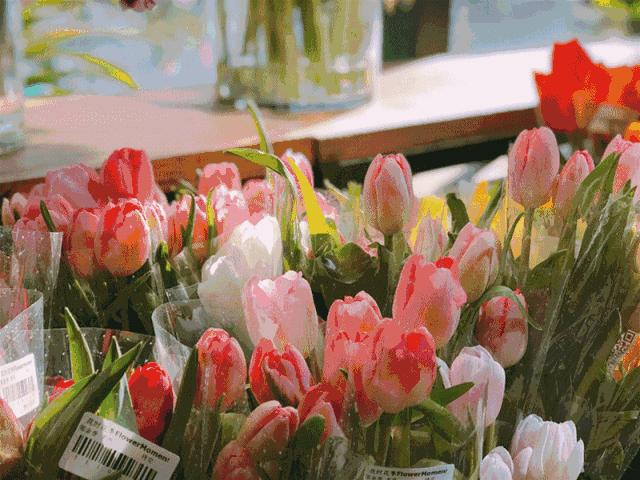 厦门奇怪的花店,厦门比较有名的绿植花店