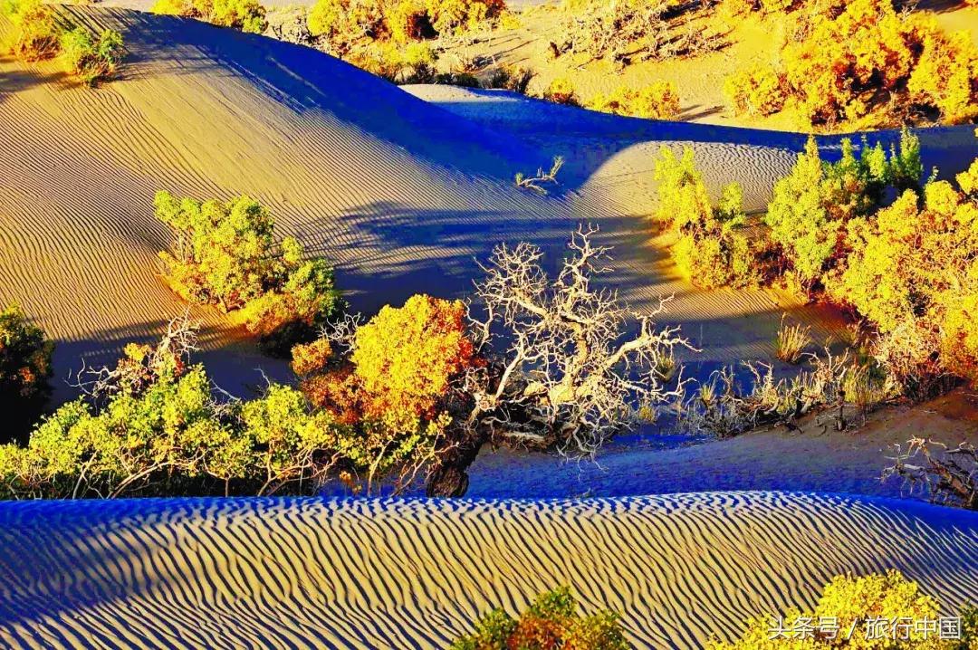 旅游最美的风景在火车上,一张火车票走遍中国最美的地方