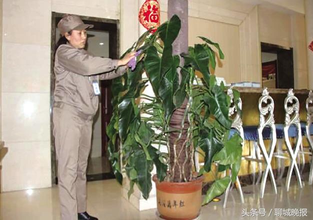 十年磨一剑顽石显锋芒,十年磨一剑一朝露锋芒图片