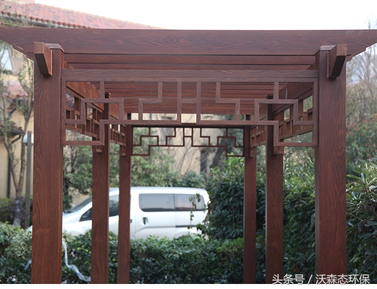 花架庭院藤蔓植物,花架藤蔓植物