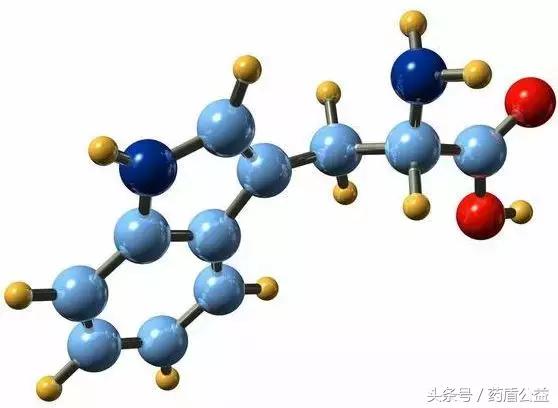 各种氨基酸的功能与作用,各大氨基酸的功能和作用
