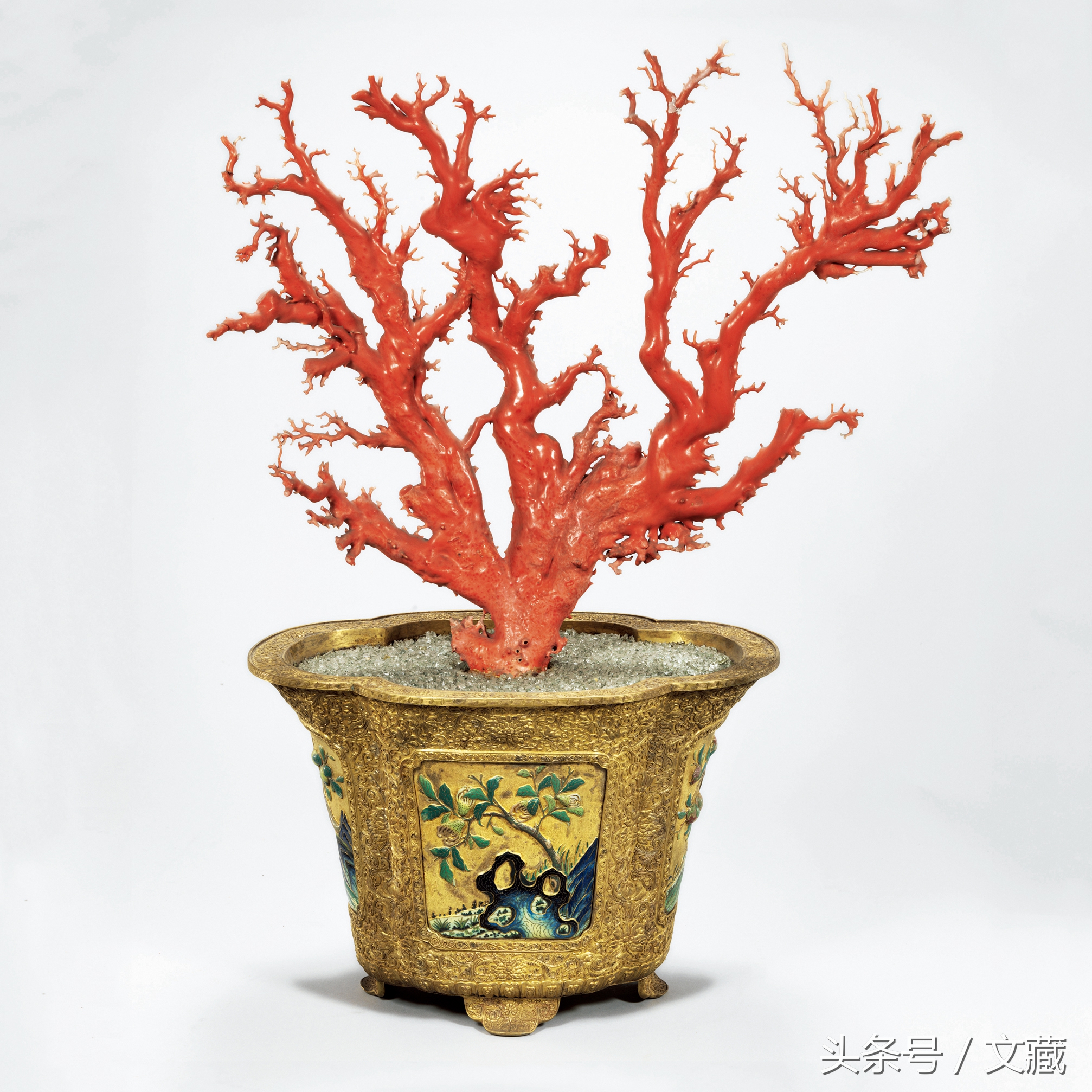 红珊瑚台湾故宫博物院珍藏品,故宫博物院红珊瑚