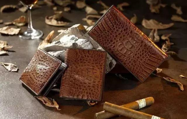 怎样辨别鳄鱼皮具,鳄鱼皮具最新视频