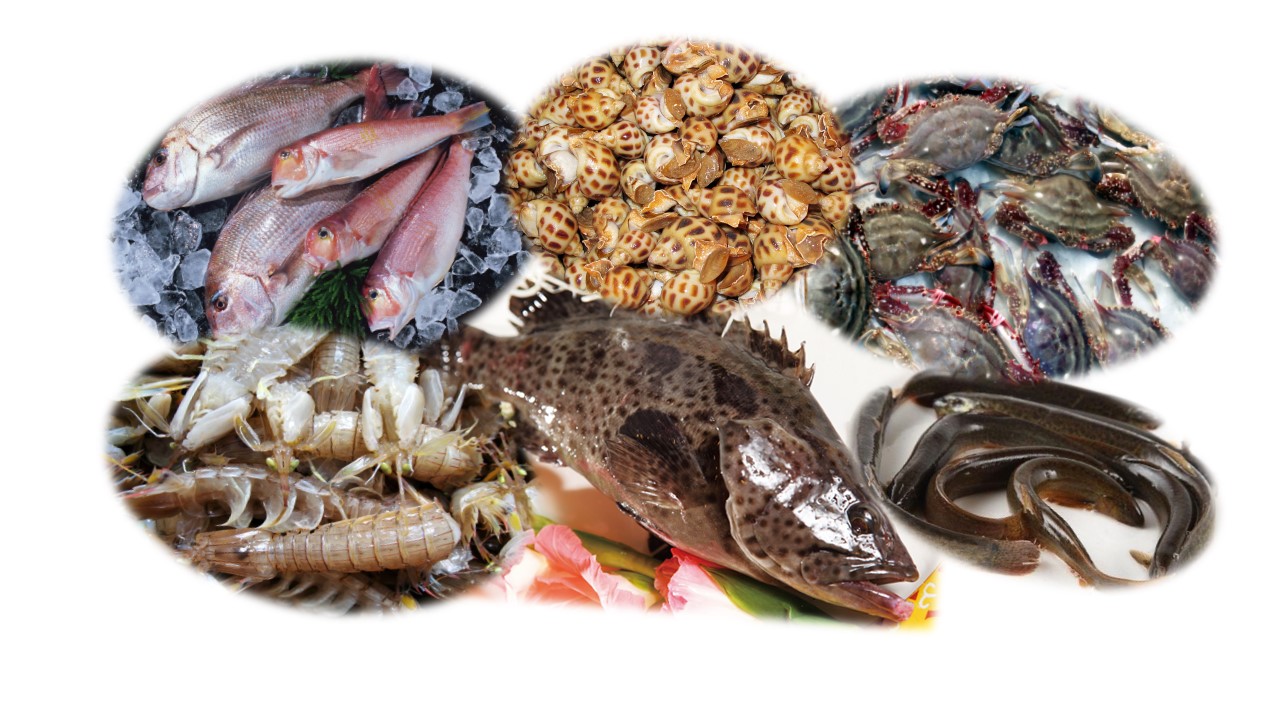 这八种鱼千万别吃,医生建议这4种鱼千万别吃