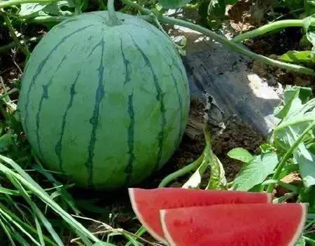 整个贵州省最好吃的东西,贵州铜仁美食排行榜前十名