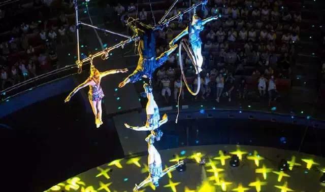 想投食小白虎、赏国际马戏？你有时间，小编有票，周末灵玲走起