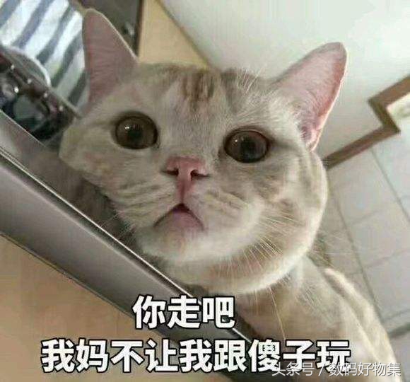 快速导入新手机联系人,新手机快速导入联系人方式