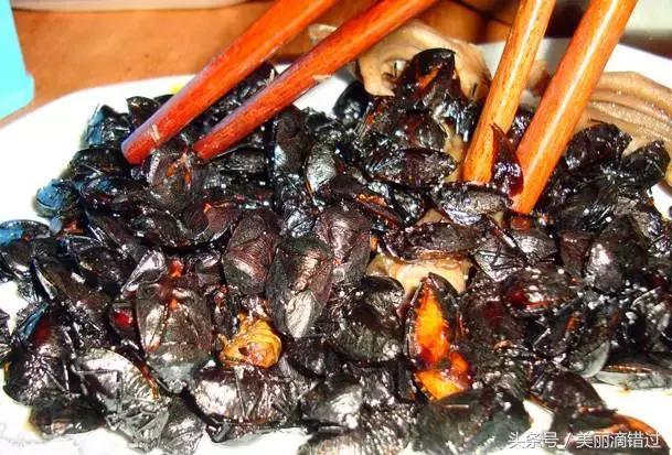 农村什么虫子有药用价值,农村臭屁虫特效药