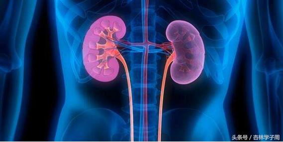 肾虚腰痛尿多怎么治,肾虚腰痛按什么穴位