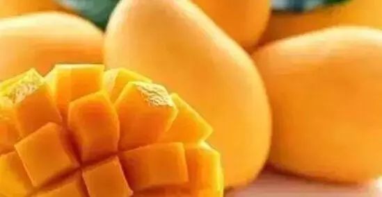 宿雾旅游游记,宿雾在菲律宾哪里