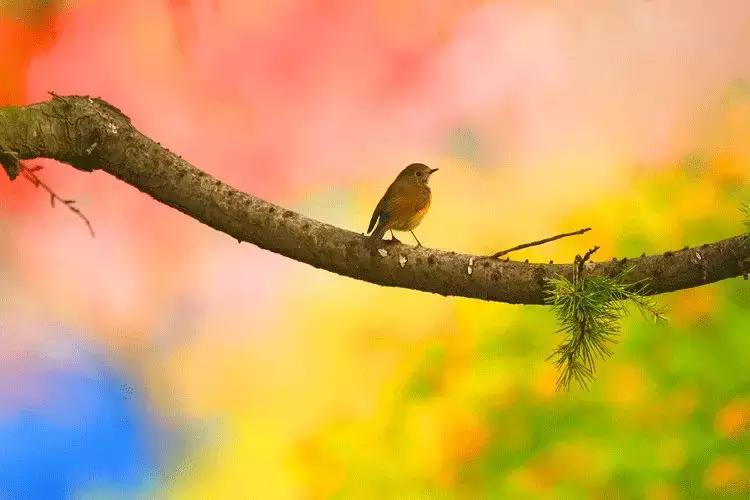 拥有季节感,是过上精致生活的第一步