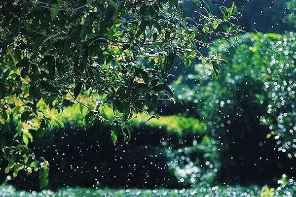 拥有季节感,是过上精致生活的第一步