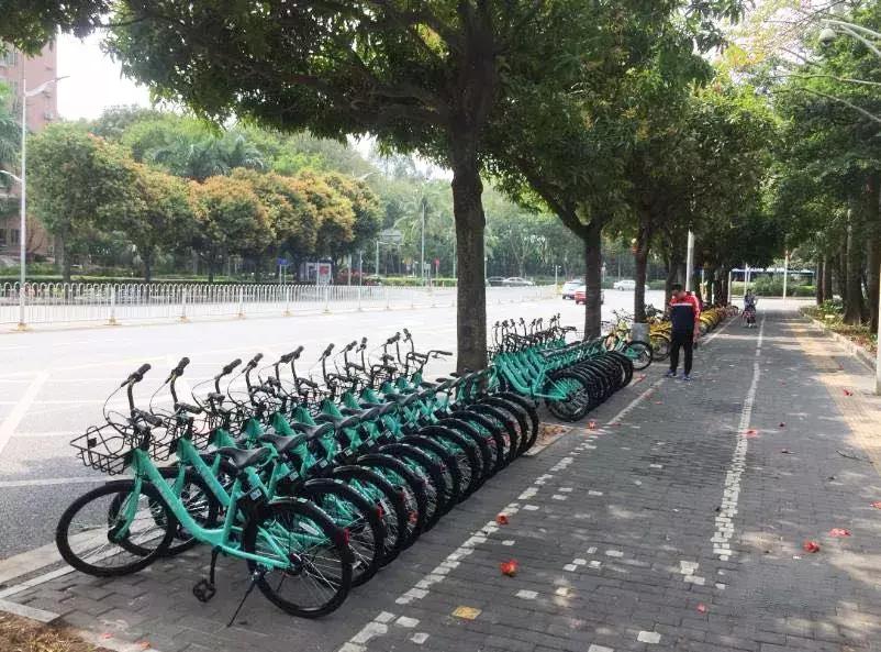深圳最新共享单车消息,深圳共享单车乱象怎么办