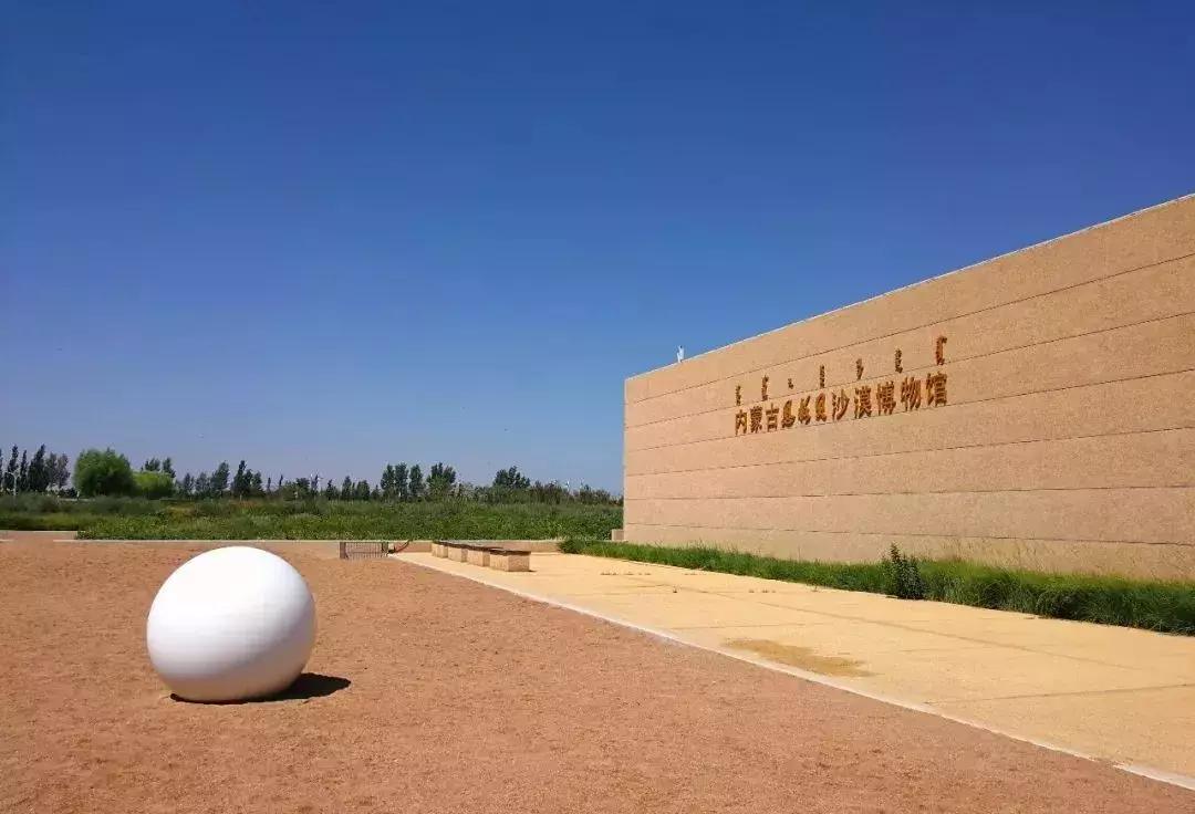 恩格贝｜魂牵梦绕的地方