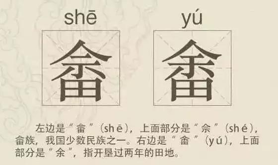 看到这些汉字,我感觉自己的语文白学了!