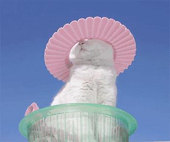 鑹績楂樺厜鍚堥泦,鎺ㄨ崘楂樺厜鍚堥泦