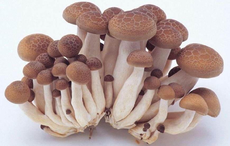 餐后发现血糖高了吃什么药好,餐后血糖一直升高是怎么回事