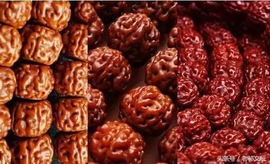 如何挑选小金刚菩提手串,小金刚菩提怎么盘玩