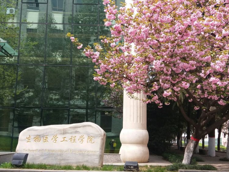 第四军医大学在全国排名,第四军医大学全口义齿修复大师