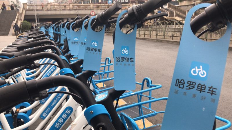角力“免押金”哈罗单车全国免押进驻四川