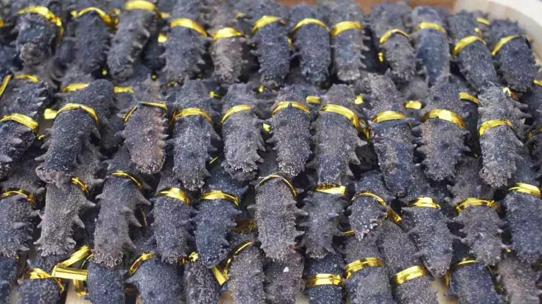 干海参的鉴别方法有哪些,干海参鉴别最简单方法