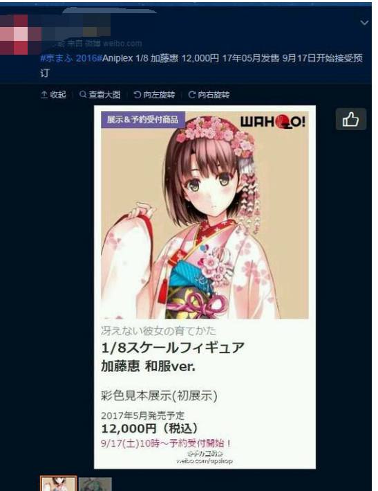 4AM人均“日漫痴”，网友评论：拿工资去找女朋友不好吗？