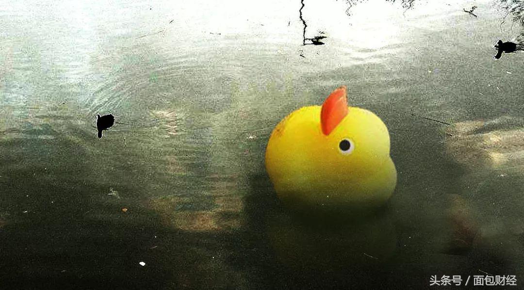 绝味鸭脖从热捧到失宠,被抛弃的小黑鸭