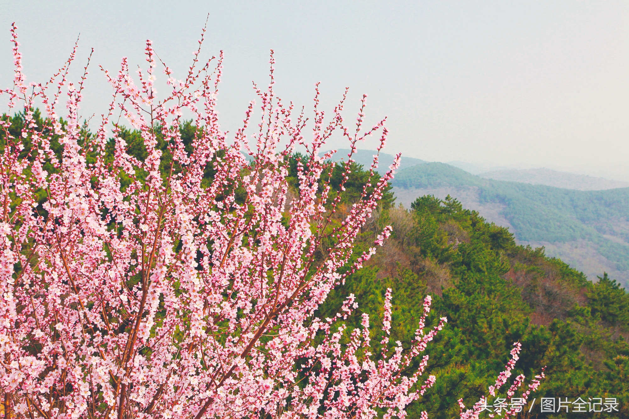 山西吉县人祖山景区,山西吉县人祖山介绍